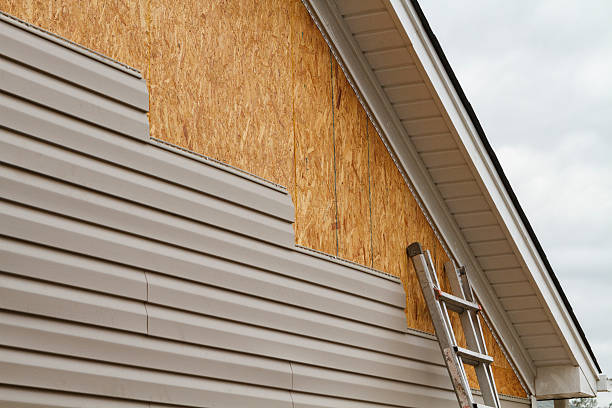 Best Custom Siding Design  in Poteau, OK